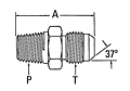 2021 Male Pipe to Male JIC Adapter